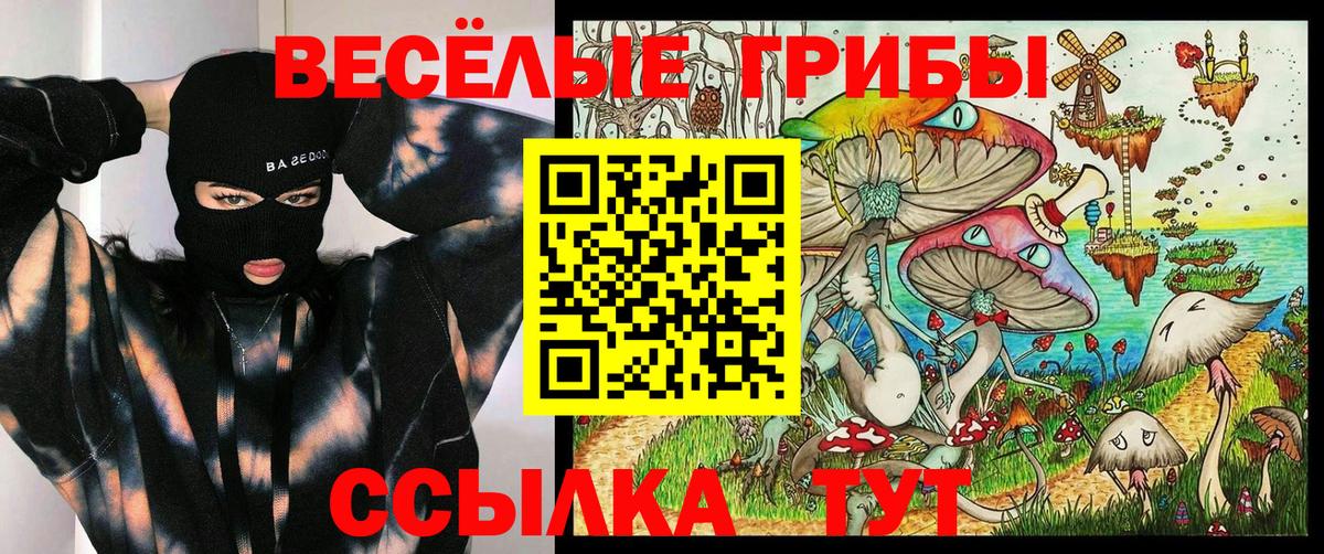 Железноводск  Псилоцибиновые грибы Psilocybine cubensis  Вход с VPN  Галлюциногенные грибы Cubensis 